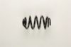 BILSTEIN 38-154560 Coil Spring